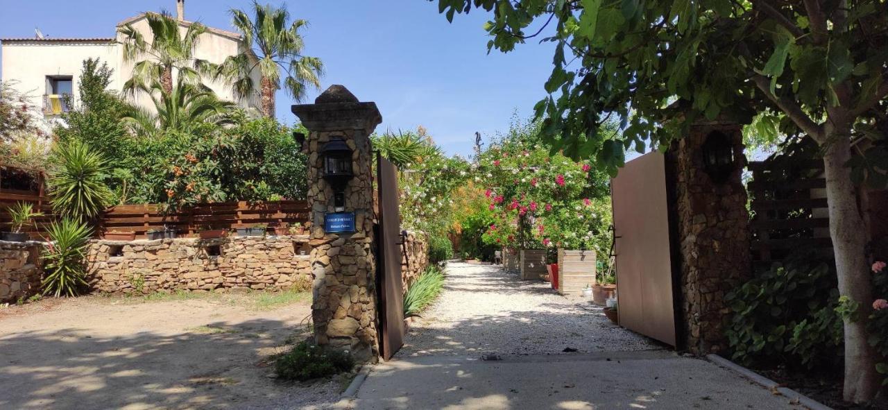 Maison D'Hotes Coeur D'Herault - Gite Et Chambres D'Hotes - Spa & Massages Péret Εξωτερικό φωτογραφία
